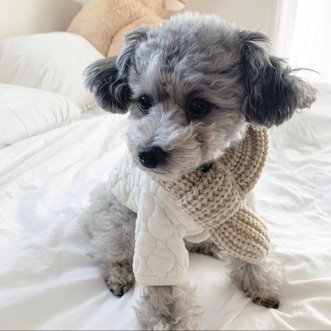 Philip & Jane Gordon 犬 犬小屋 カーディガン M 長袖