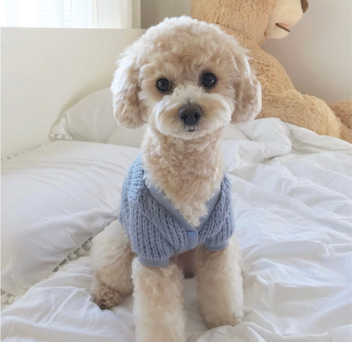 【くく ✨】Adonisis ＆ バーニーズカーディガン 2点セット Adonisis】250321_フラワークロシェモチーフニットカーディガン