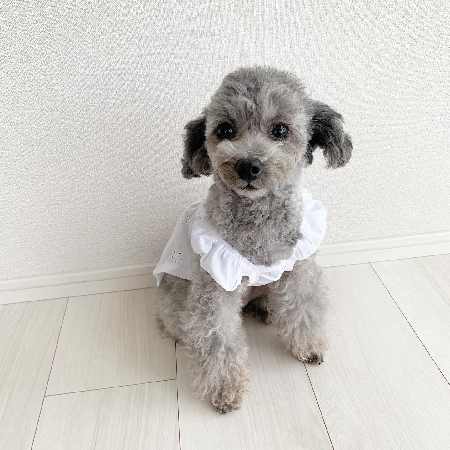 ショルダーフリルワンピース – mishuri