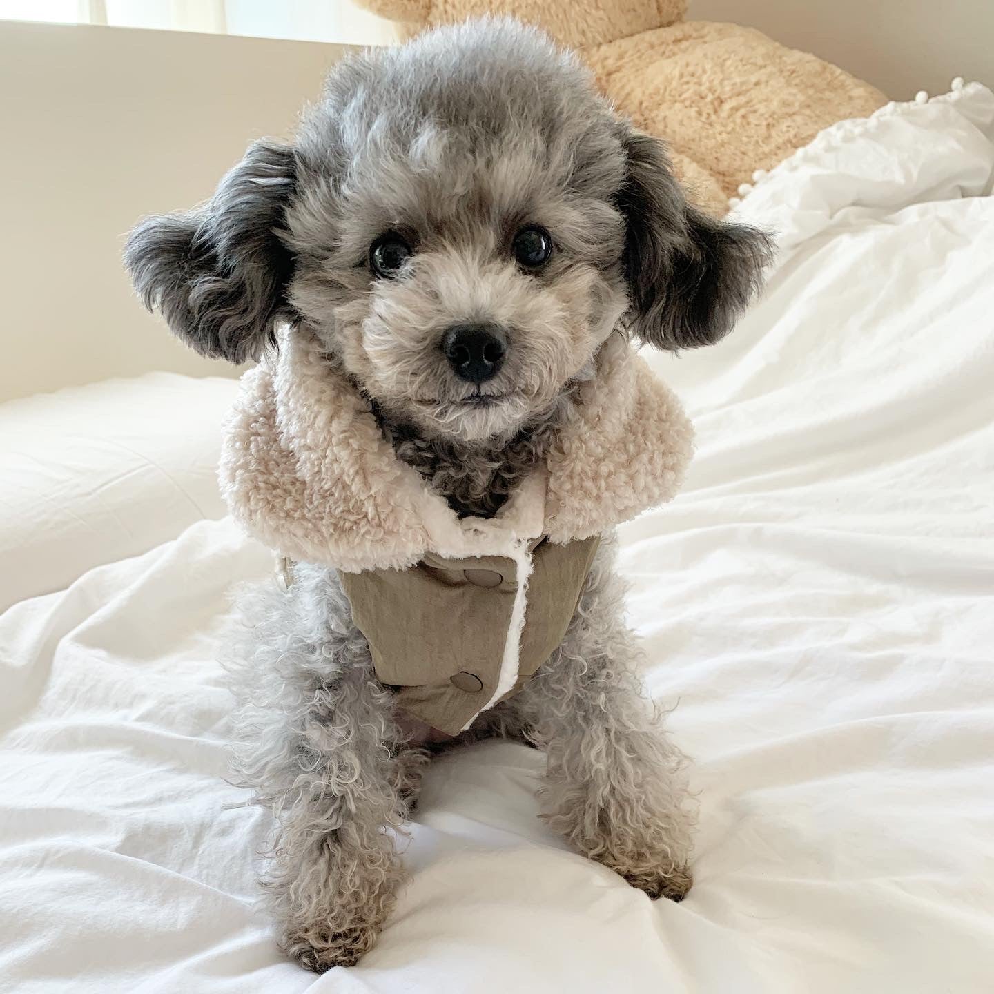 ◆MICHAA ビーディング刺繍ポイントパディングベスト mishuri dogwear ヴィンテージパディングベスト